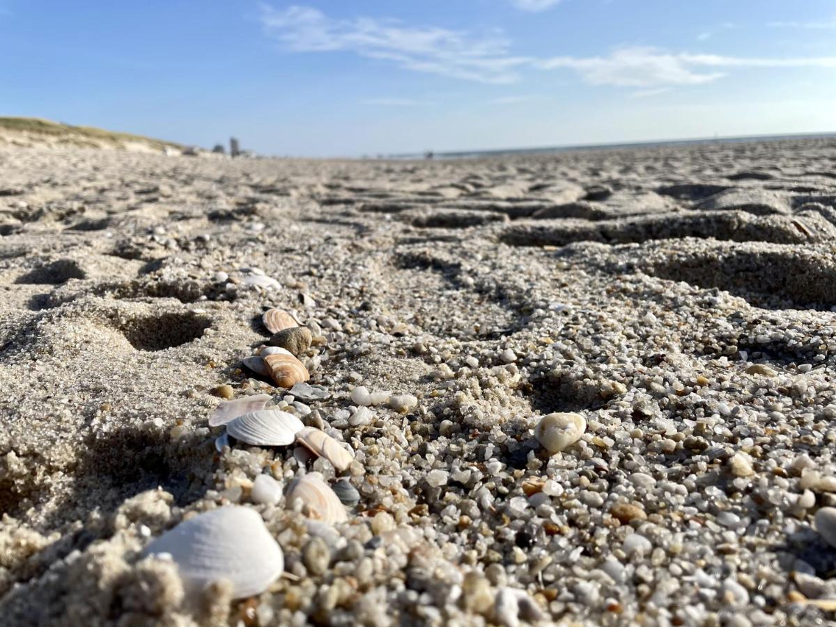 Duenengras Westerland